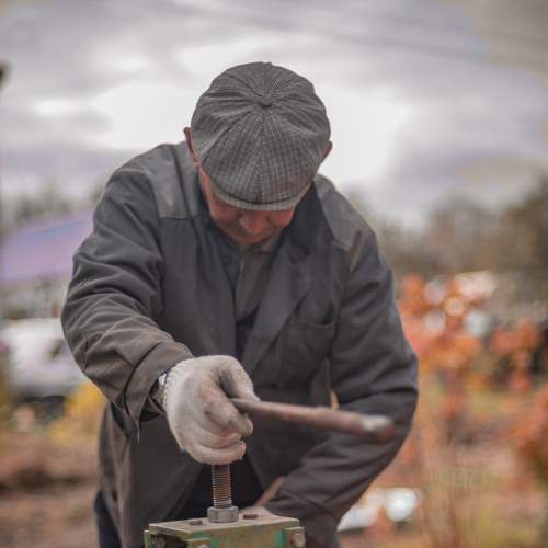 Photo #8411401