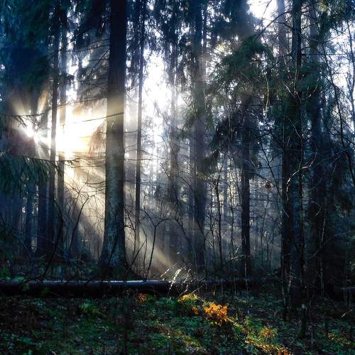 Photo #8411558