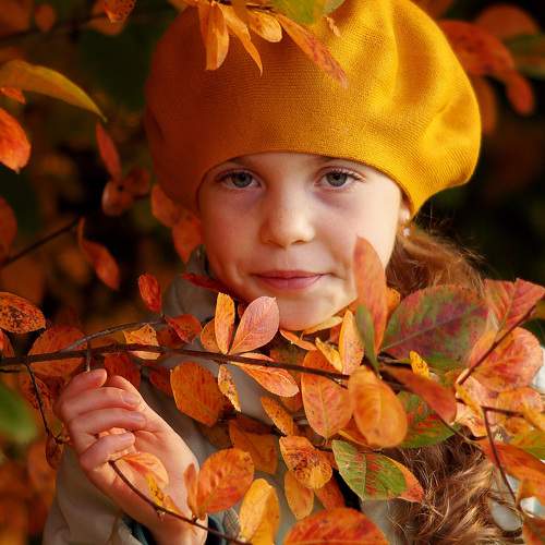Photo #8411574