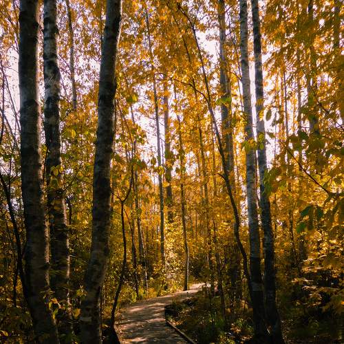 Photo #8411739