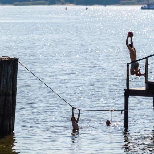 Photo #8411823