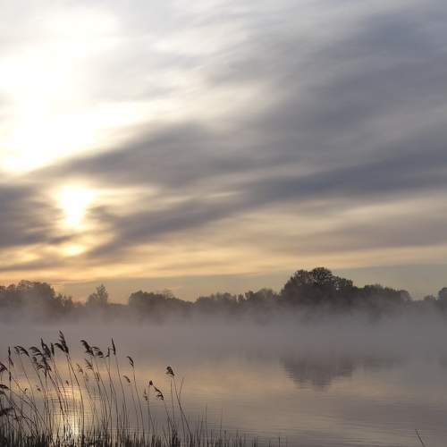 Photo #8411956