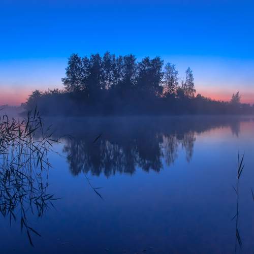 Photo #8412031