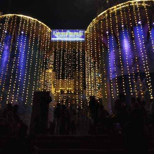 Photo #8412567