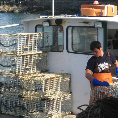 Photo #8412683