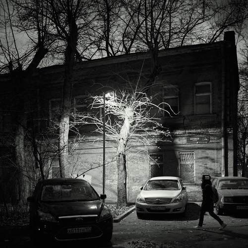Photo #8412803