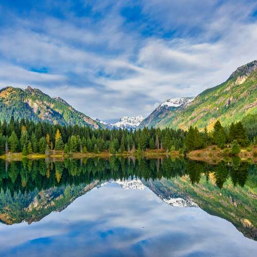 Photo #8412834