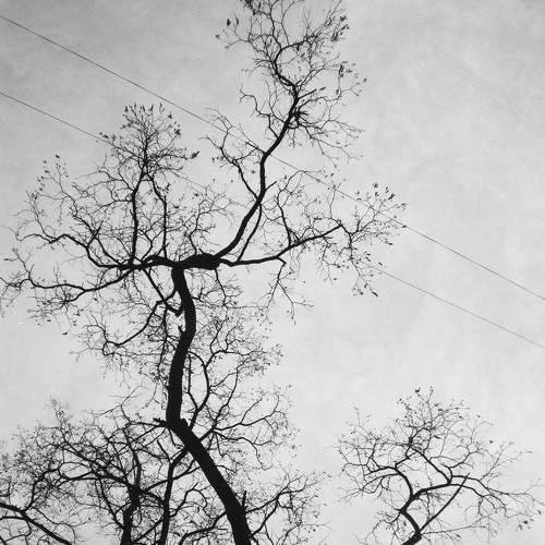 Photo #8412932