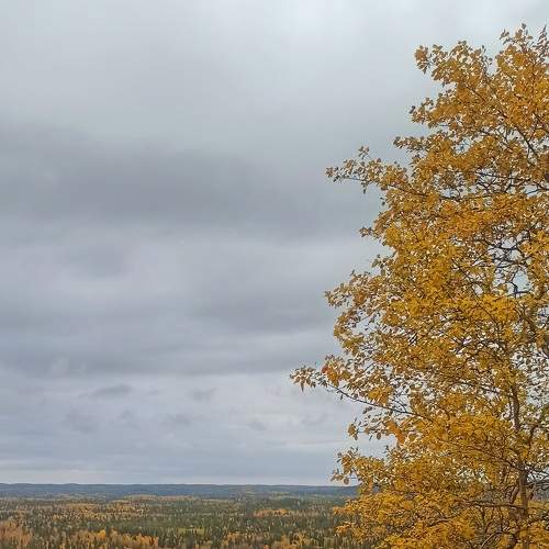 Photo #8413121