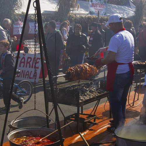 Photo #8413654