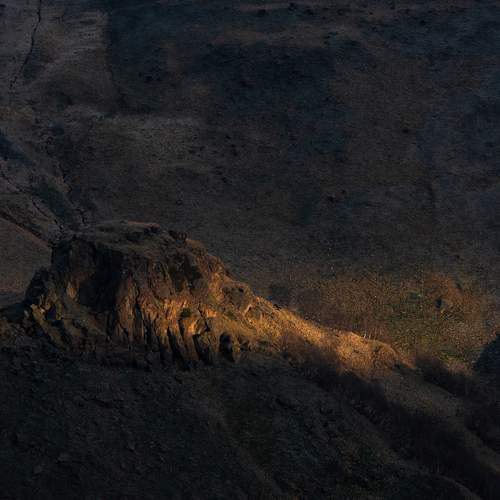 Photo #8413792