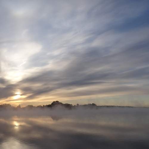 Photo #8413945