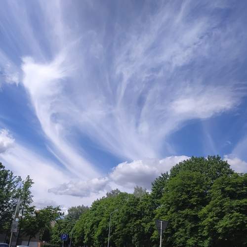 Photo #8414542