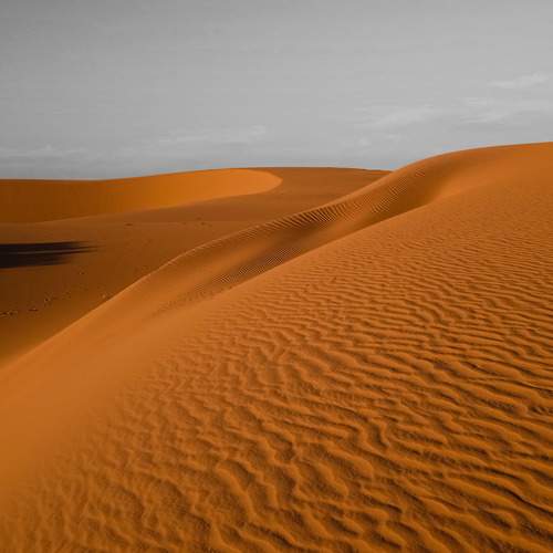Photo #8414638