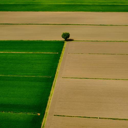 A lonely guy