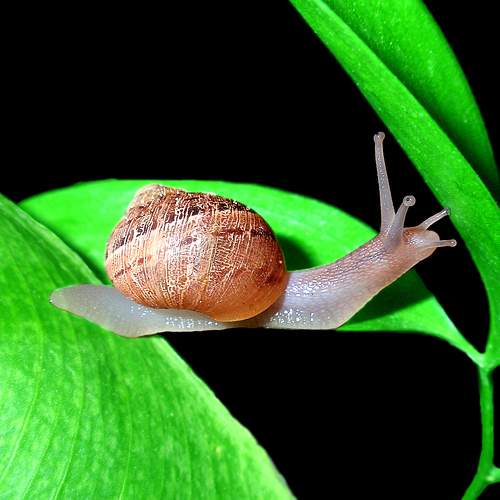 Photo #8414898