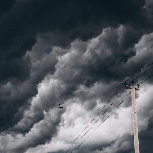 Photo #8415513