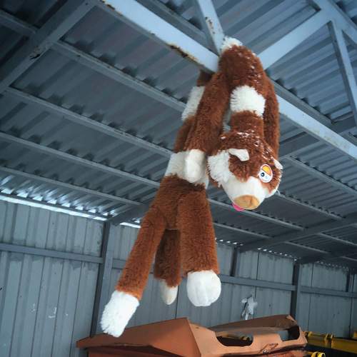 Photo #8415519