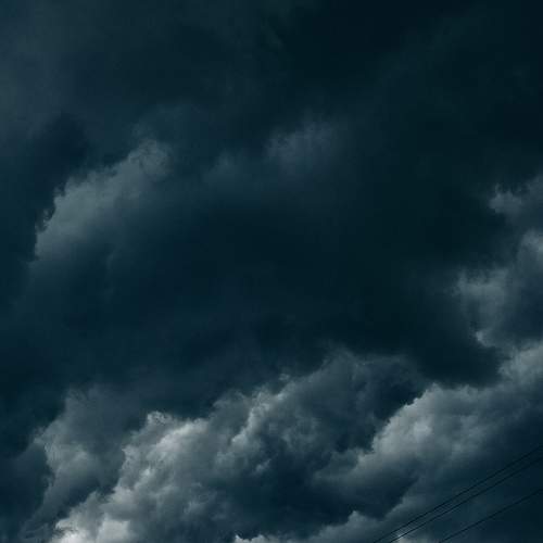 Photo #8415520