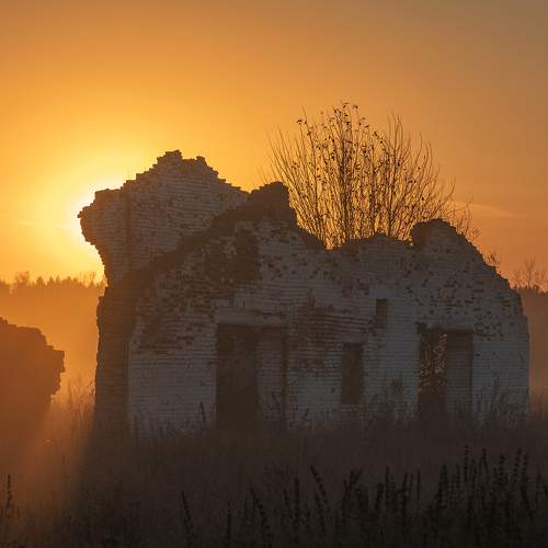 Photo #8415660