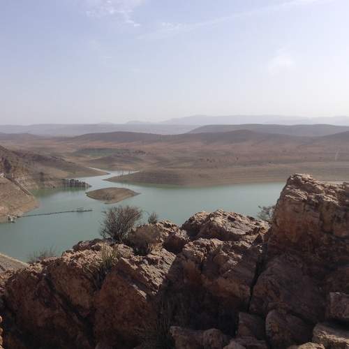 Photo #8415676
