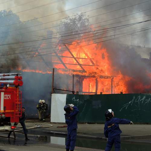 Photo #8415746