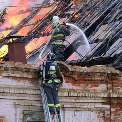 Photo #8415769