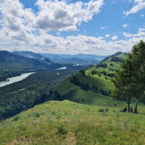 Photo #8415843