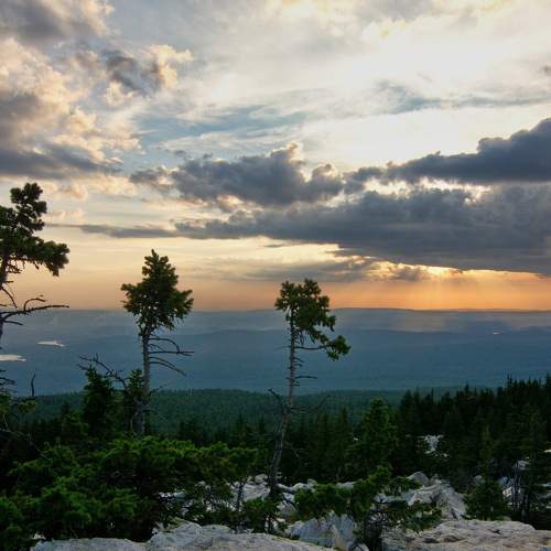 Photo #8415962