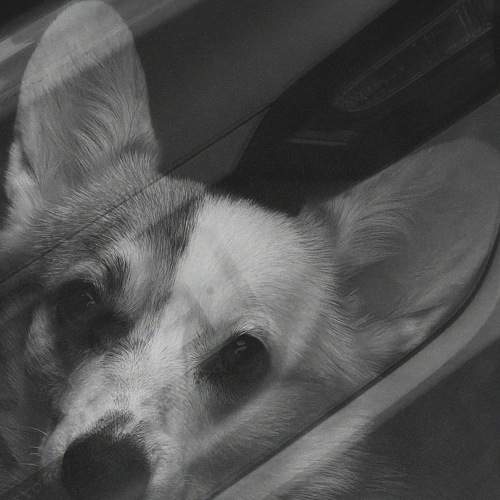 Photo #8416030