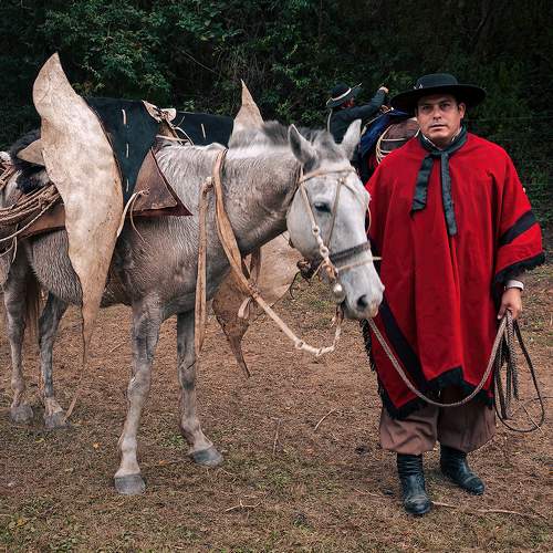 Photo #8416036