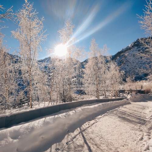 Photo #8416150