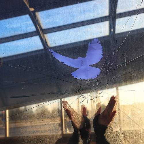 Photo #8416289
