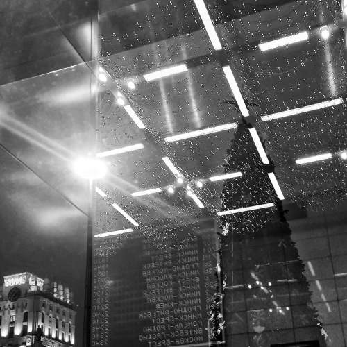 Photo #8416306