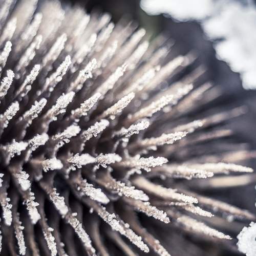 Photo #8416500