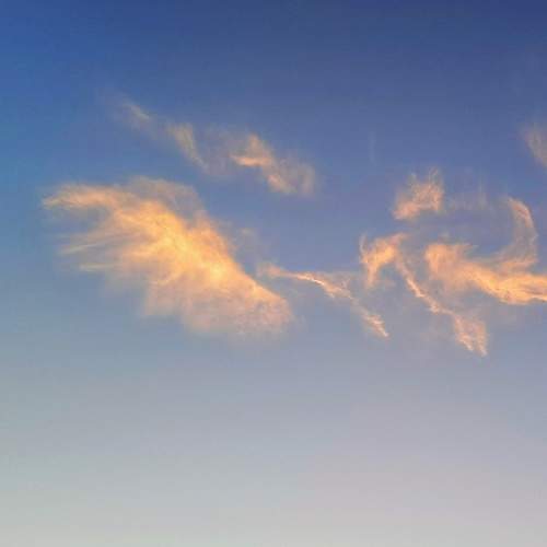 Photo #8416515