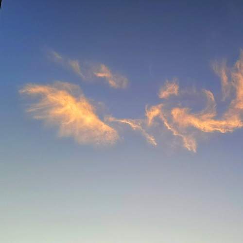 Photo #8416516