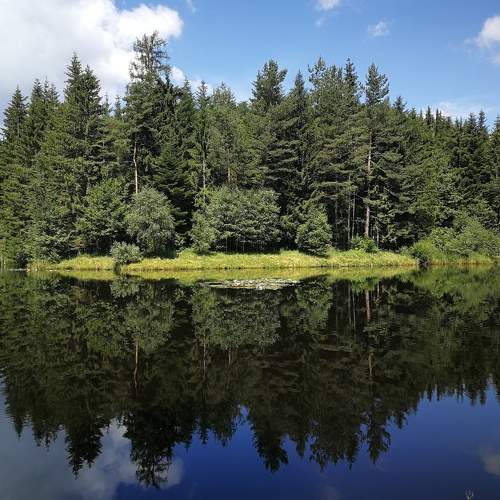 Photo #8416540