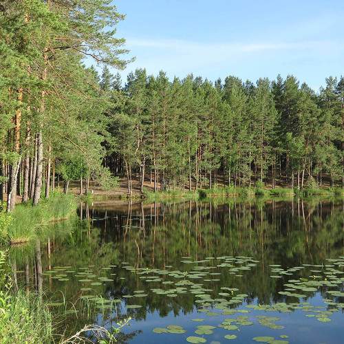 Photo #8416861