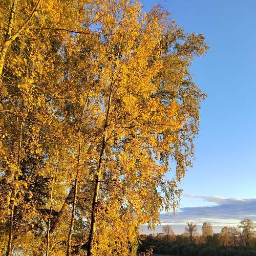 Photo #8416870
