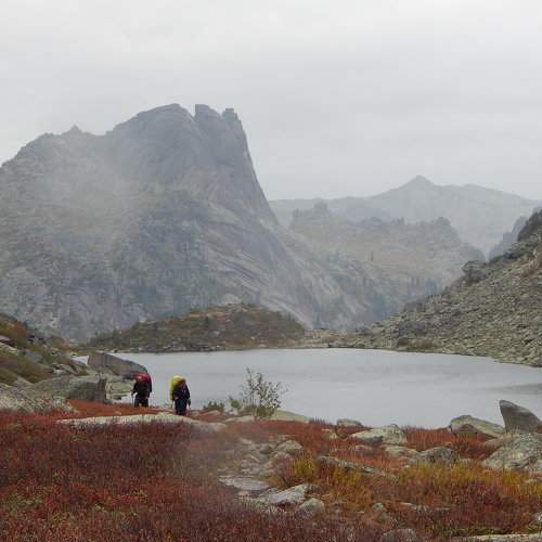 Photo #8417098
