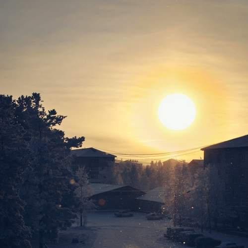 Photo #8417366