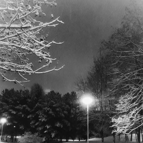 Photo #8417415