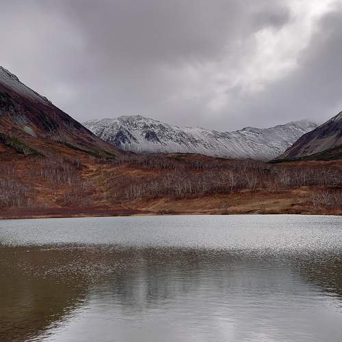 Photo #8417813