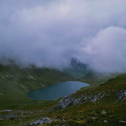 Photo #8418150