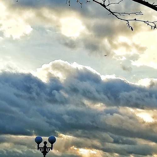 Photo #8418384