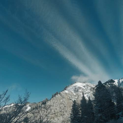 Photo #8418666