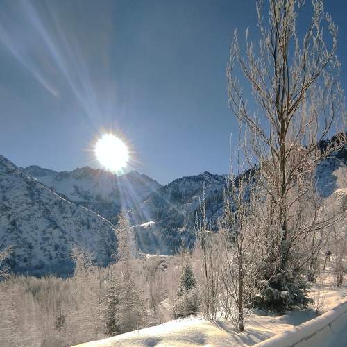Photo #8418668