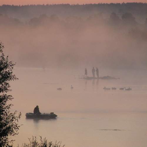 Photo #8418769