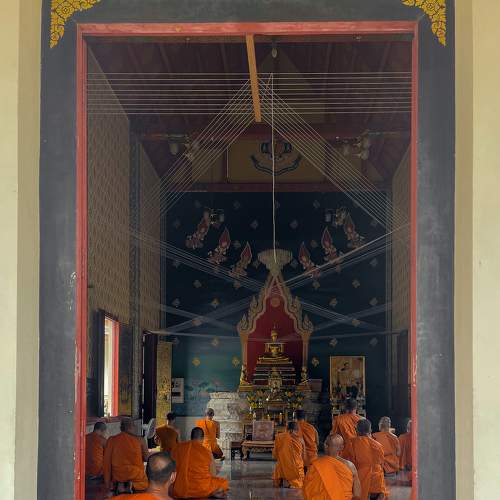 Photo #8418837